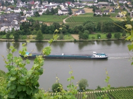 Unsere Umgebung im Sommer -
Blick in Piesport auf die Mosel