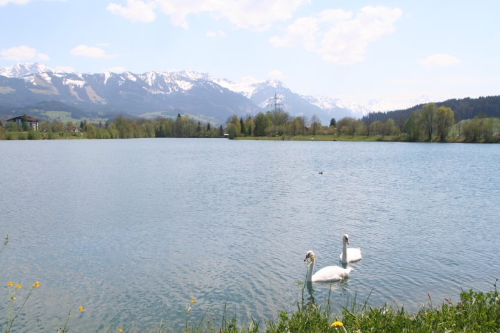 Illersee, 1 km von der FeWo Fröhlich entfernt 