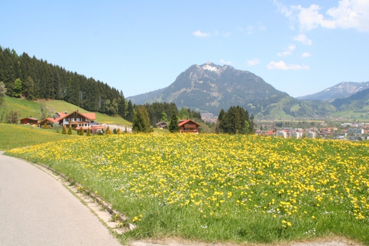 Hüttenberg mit Blick auf den Grünten 