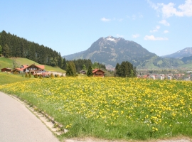 Foto 19