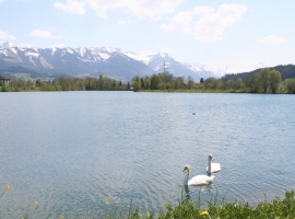 Illersee, 1 km von der FeWo Fröhlich entfernt 