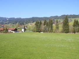 Aussicht vom Balkon im Sommer 