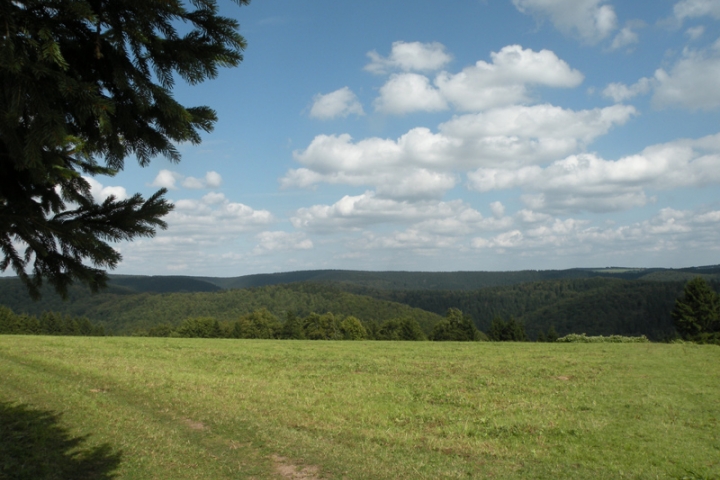 Wunderschöner Panoramablick über freie Wiesen und Berge.