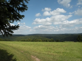 Wunderschöner Panoramablick über freie Wiesen und Berge.