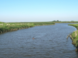 Foto 15