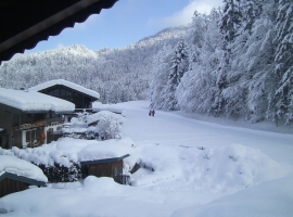 Balkonausblick zum Winterwanderweg und Langlaufspur