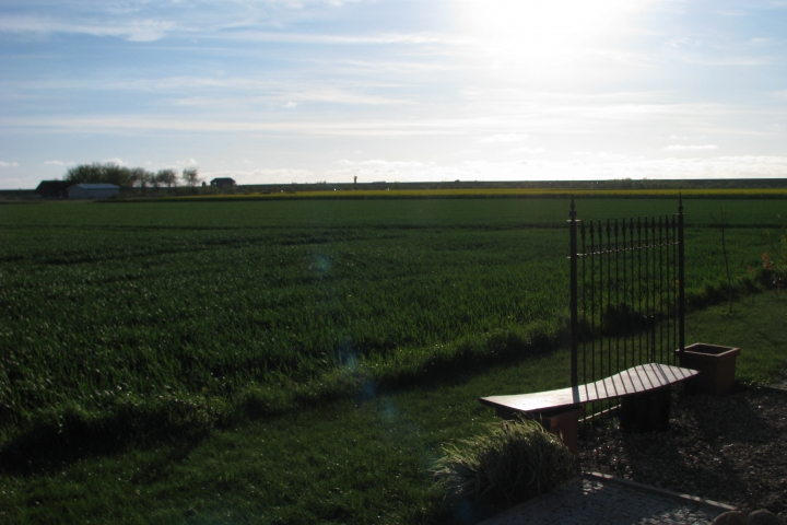 Abendsonne `gen Westen