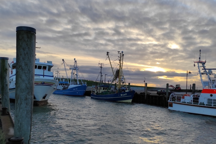 Hafen Strucklahnungshörn