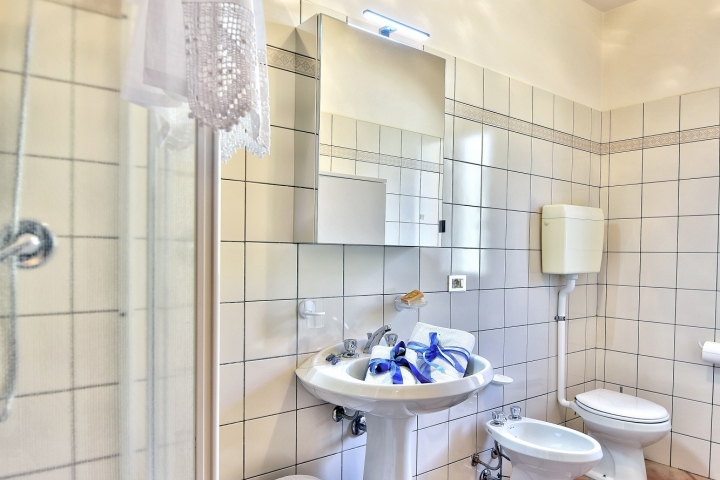 Badezimmer Apt. 1
