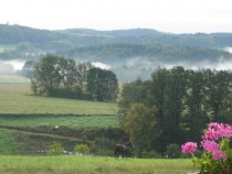 Blick von der Terrasse der Fewo 1