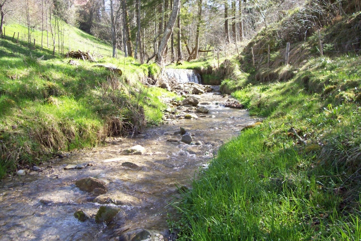 Romantischer Wildbach in Sicht und Hörweite