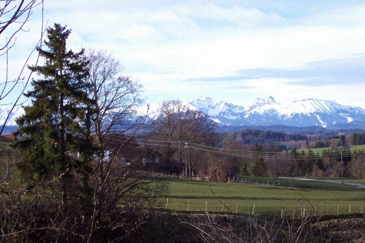 Blick von der Terrasse im Frühling