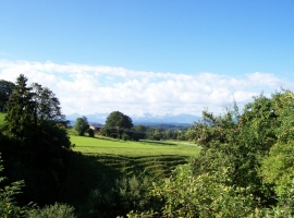 Blick von der Terrasse