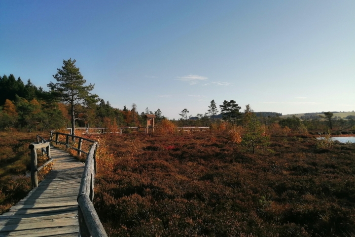 Schwarzes Moor im Herbst