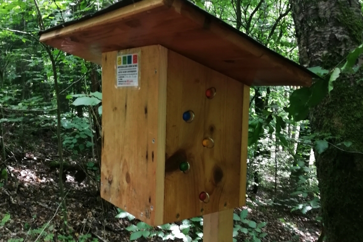 Geocaching in und um Schönau