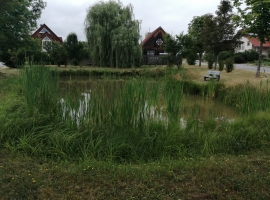 Foto 20