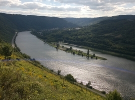 Foto 15