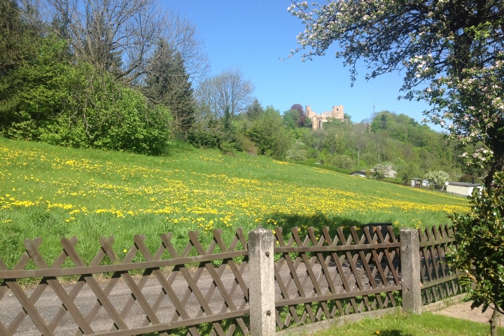 Blick auf vom Haus auf Schloß und Ruine Frauenstein