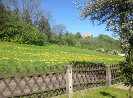 Blick auf vom Haus auf Schloß und Ruine Frauenstein 