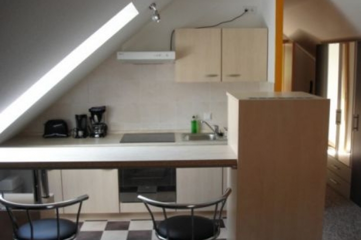 Die Küche vom Appartement re. mit Tresen.