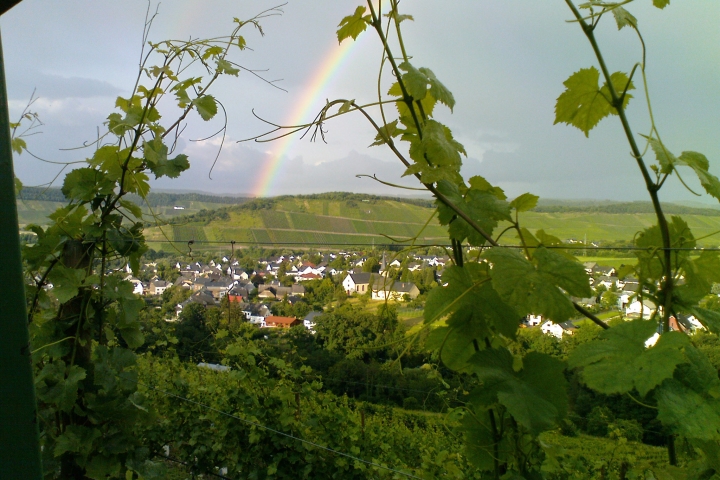 Regenbogen über Noviand
