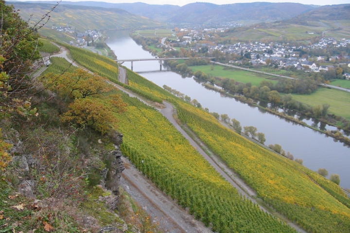 Die Mosel bei Lieser, Richtung Bernkastel Kues