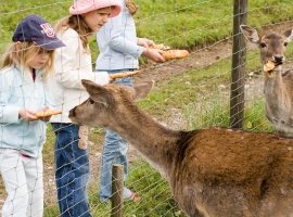 Kinder am Wildgehege