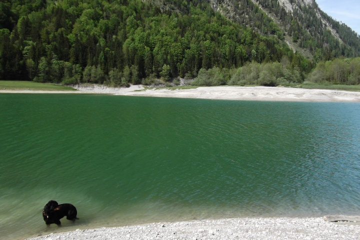 Paradies auch für Hunde