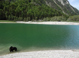 Paradies auch für Hunde