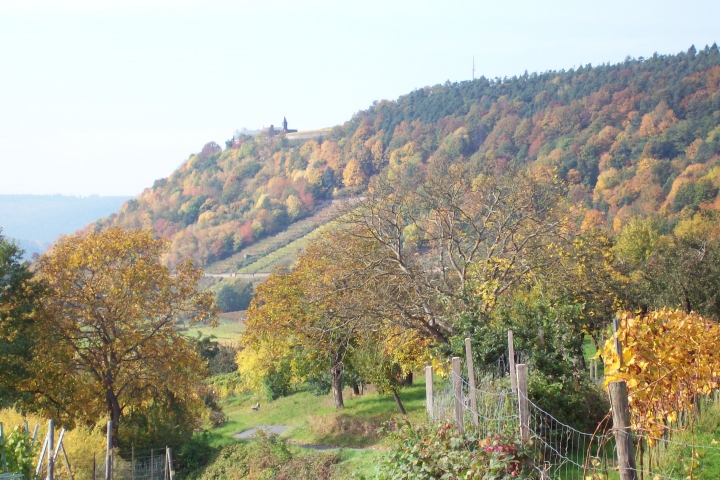 Blick auf Kloster Engelberg Großheubach