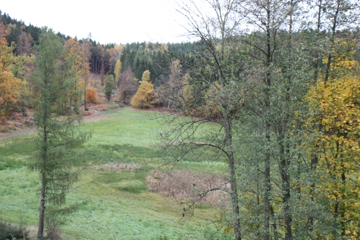Blick zur Dreieckwiese unmittelbar am Haus