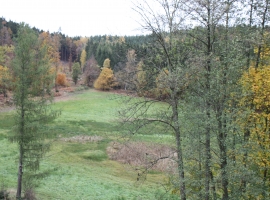 Blick zur Dreieckwiese unmittelbar am Haus