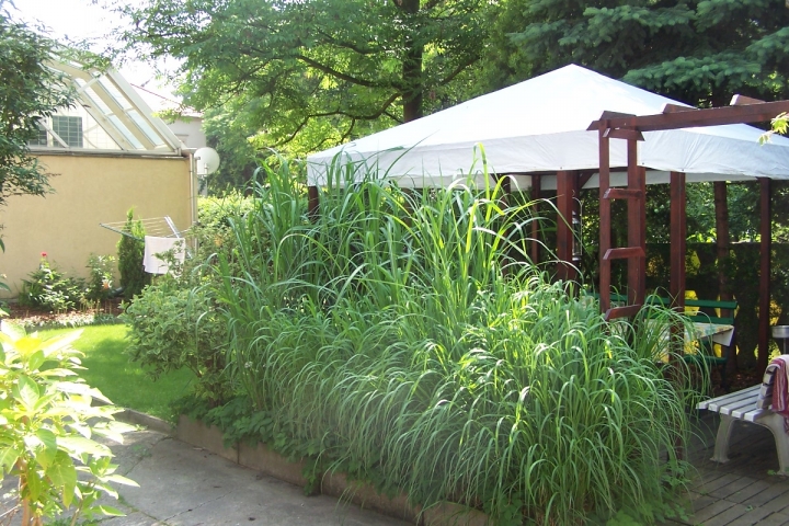 Ferienwohnungen Herzig | Gartenparadies