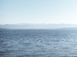 Im Sommer laden traumhafte Seen zum Baden ein. Der Chiemsee bietet beispielsweise einen traumhaftes Bergpanorama.