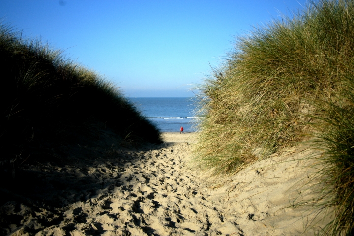 Willkommen am Strand