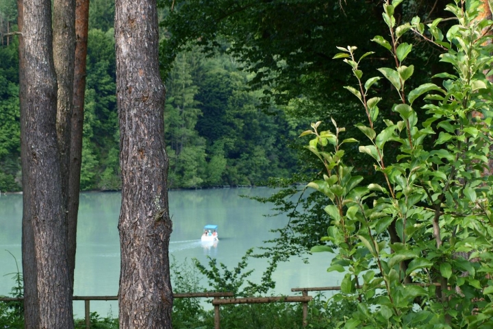 Blick auf den Drausee