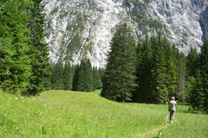 die schönsten Wanderwege in unmittelbarer Umgebung