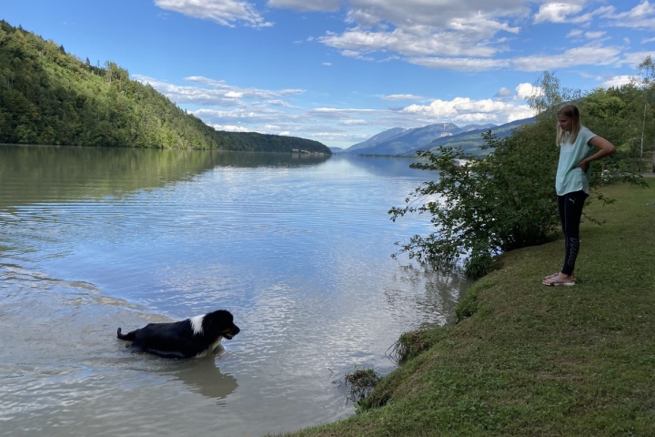 Ufer Draustausee