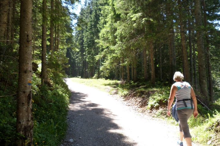 zur Märchenwiese