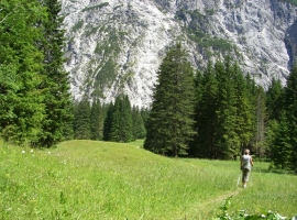 Foto 21