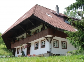 Ferienwohnung Weiher - Balkon