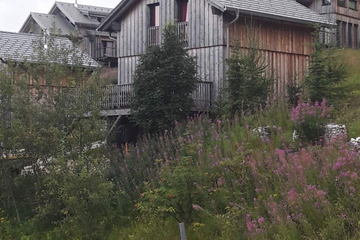 Klippizhäusl
