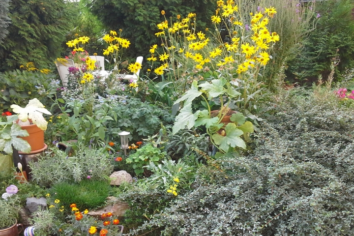 Blumen und Sitzecke