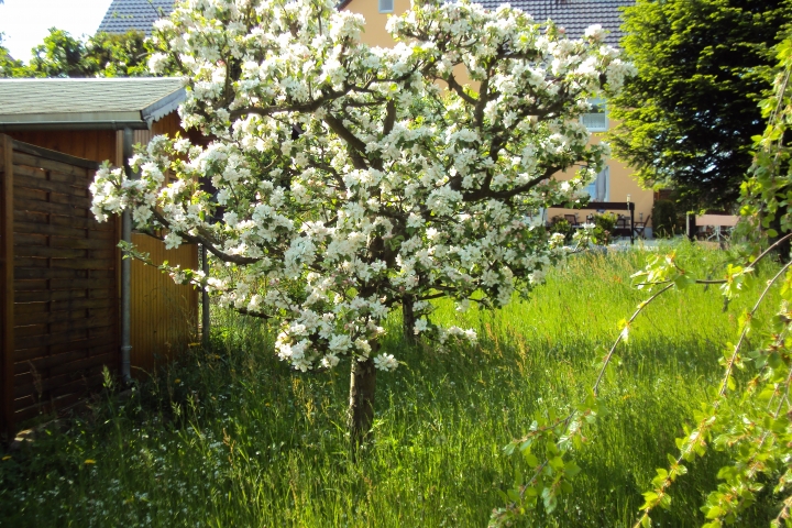 Frühling
