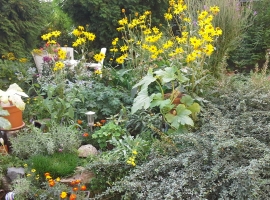 Foto 7