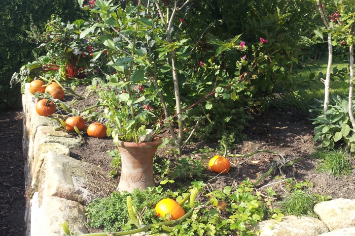 Genießen Sie unseren Garten