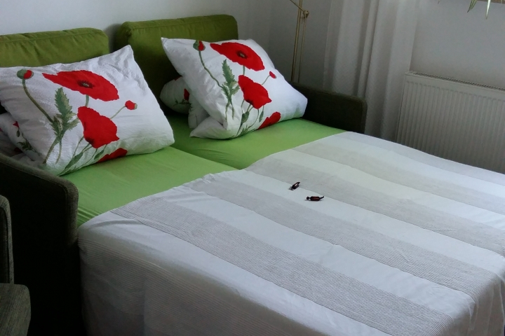 Modernes Schlafsofa für 2 Personen