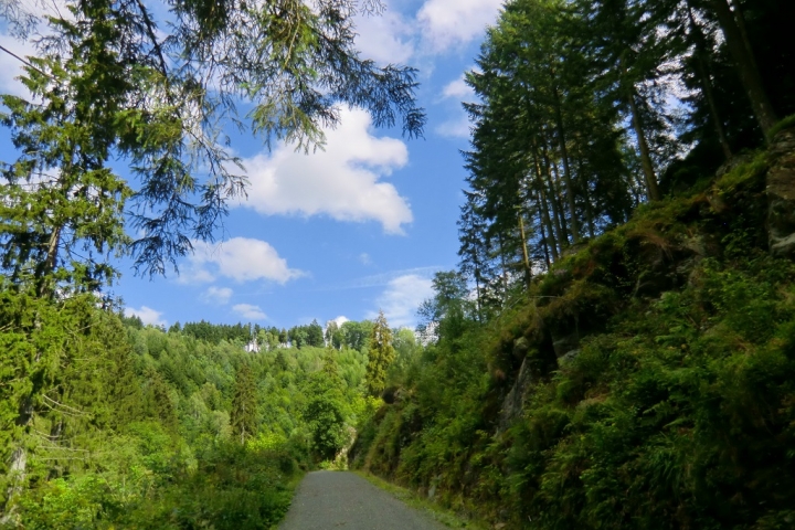 Neuer Waldweg zum Vennbahnradweg (Ravelweg)