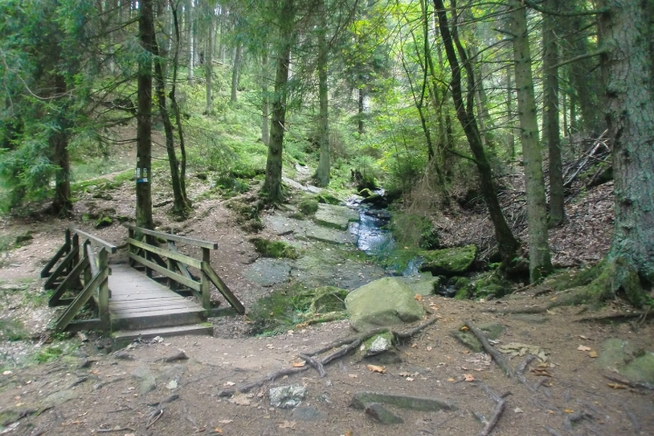 Ruruferwanderweg direkt hinter dem Haus im oberen Rurtal
