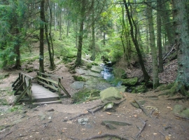 Foto 9